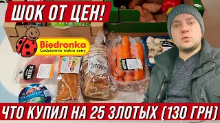 в ШОКЕ от цен! Как выжить в Польше на 25 злотых? Купил еды в Biedronka