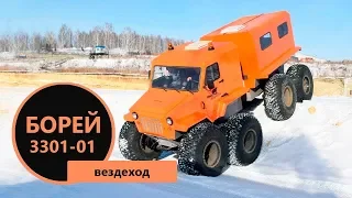 Новый взгляд на снегоболотоход Борей 3301-01