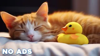 12 House Healing Cat Music 🐈 Sleep Music for Cats With Video 4K ♬ Sleepy Cat, Soothing Piano