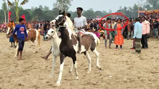 Watch what Taslima did when she stood watching her younger brother's horse race.