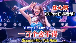 庄心妍 - 一万个舍不得 Yi Wan Ge She Bu De [ Sepuluh Ribu Tak Rela ] DJPad仔 抖音版 Remix Tiktok 2022 Translated