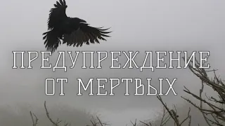 🖤⛓️🪦Послание из мира мертвых|| Кто мне вредит и за что? От кого держаться подальше?#тарорасклад