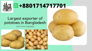 Potato Buyer and Supplier ।। Potato Export & Import Business