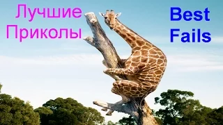 Best Fails §20☼ Лучшие Приколы §20☼ Epic Fail Forever®