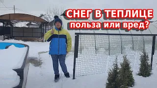 Снег в теплице нужен или нет // Уход за теплицей зимой в январе