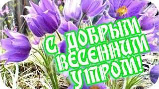 С Добрым  утром! 🌸Весны вам доброй я желаю! 🌸Весеннее пожелание🌸Good morning!🌸