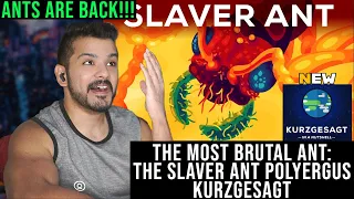 The Most Brutal Ant: The Slaver Ant Polyergus (Kurzgesagt – In a Nutshell) CG Reaction