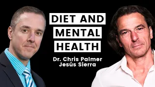 Dr. Chris Palmer // Diet and Nutrition for Depression and Anxiety