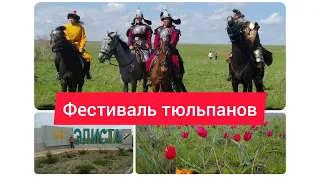 Фестиваль тюльпанов в Калмыкии. Элиста (апрель 2021)