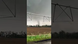 Video captures rare multiple-vortex tornado in Michigan