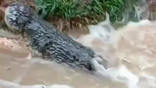 Hati hati di saat mancing di dalam sungai" harus selalu waspada