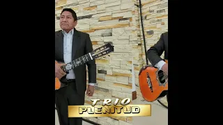 TRIO PLENITUD VEN ALMA QUE LLORA