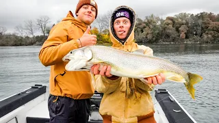 Monster Fall Trout...Lower Niagara River week 2