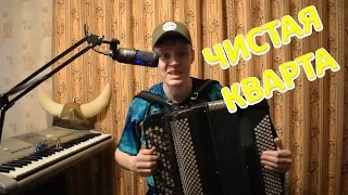 Построение чистой кварты от всех звуков вверх и вниз на баяне. Урок#17