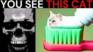 Mr Incredible Becoming Uncanny meme (You see this cat) | 50+ phases