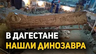 В Дагестане нашли динозавра