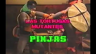 Las Tortugas Pinjas (1990) de Victor Maytland