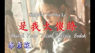 Shi Wo Tai Sha Le 是我太傻了 [Akulah Yang Telah Terlalu Bodoh]