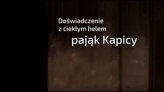 Doświadczenie z ciekłym helem   Pająk Kapicy