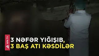 Biləsuvar sakini at əti satmaq üçün Bakı sakini ilə sövdələşdi, amma işlər tərs getdi - APA TV