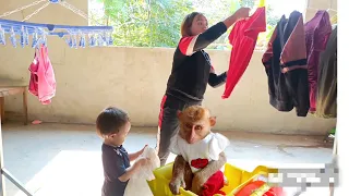 baby Bear and monkey Titi obediently help their mother dry clothes. #videomonkey