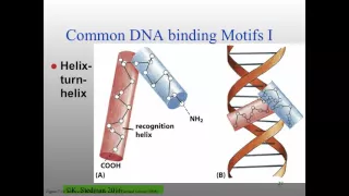 MB_W16_Review3