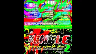 LTJ Bukem FANTAZIA 1994 Volume 2 Takes You Into The Jungle