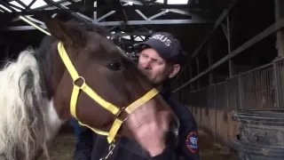 Neglected Horses Rescued in Tennessee