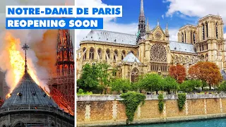 Unbelievable Restoration of Notre Dame Cathedral in Paris