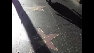 Прогулка по Голливудской Аллеи Славы Hollywood Walk of Fame Los Angeles,USA #прогулка #аллея