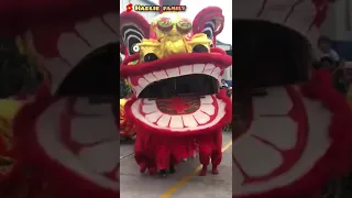 #shorts | Giant Lion Dance - Hadlie Family