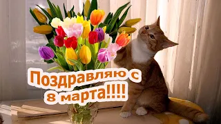 С 8 марта всех дорогих  и любимых женщин! От мала до велика поздравляем с праздником весны!!!