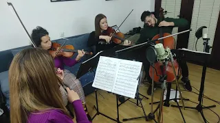 The Lord Of The Rings - The One Ring Theme (String Quartet)