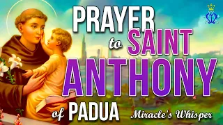 🌿 Miracle's Whisper: A Prayer to Saint Anthony