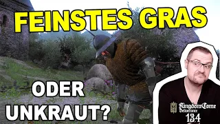 134⚔️Kräuterkunde mit Bigi⚔️Kingdom Come: Deliverance