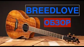 Breedlove D25 SR-e или Taylor, лучшая акустическая гитара в своём классе?! (Акустика) ОБЗОР