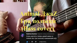 Animal ДжаZ - Три полоски (bass cover)