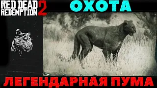 Red Dead Redemption 2 - Охота. Легендарная Пума.