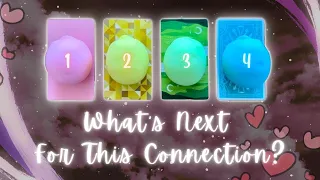 Where’s This Connection Headed?🫢💞 Pick a Card *Timeless* In-Depth Love Tarot Reading