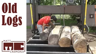 Sawing Old Logs - How long can I wait before sawing logs into lumber?