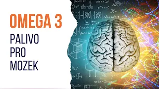 Omega 3 jako palivo pro mozek! - BrainMarket