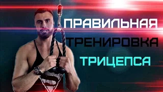 Правильная тренировка трицепса