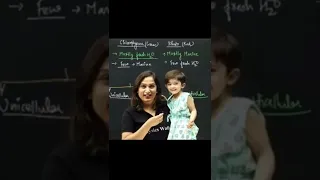 Archana mam daughter mishri in the class/physics wallah #shorts #alakhpandey #physicswallah #pw