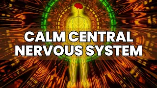 Music To Calm Central Nervous System | Instant Relief From Anxiety & Stress | Repair Your Body Cells