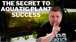 The Simple Secret to Healthy, Successful Planted Aquariums