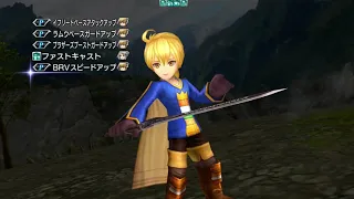 [DFFOO-JP] Alphinaud CHAOS 999999 score