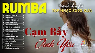 CẠM BẪY TÌNH YÊU, MỘT THƯỞ YÊU NGƯỜI - ALBUM RUMBA XUẤT SẮC NHẤT 2024 - BÙI PHI LONG COVER CỰC HÓT