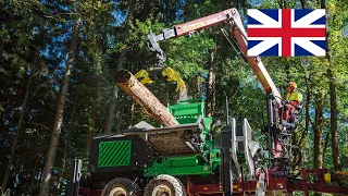 Tajfun DOT 50ZK Hydraulic crane & Tajfun GAP 140 Forestry trailer & Heizohack Crane-fed chipper