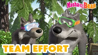Masha and the Bear 2024 🤝 Team Effort 🙌 Best episodes cartoon collection 🎬