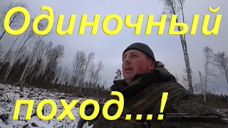 Осенний одиночный поход по вырубкам/ Таежные реки и ручьи/  плотина бобра/ 20 км незнакомой тайги